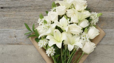 plant to give when someone dies.